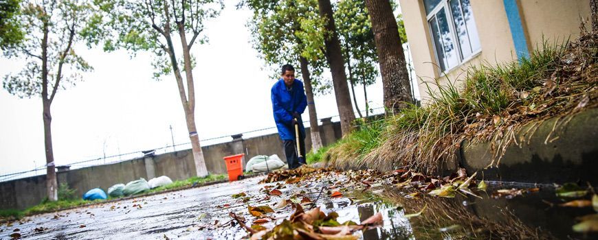 春雨(yǔ)行(xíng)動